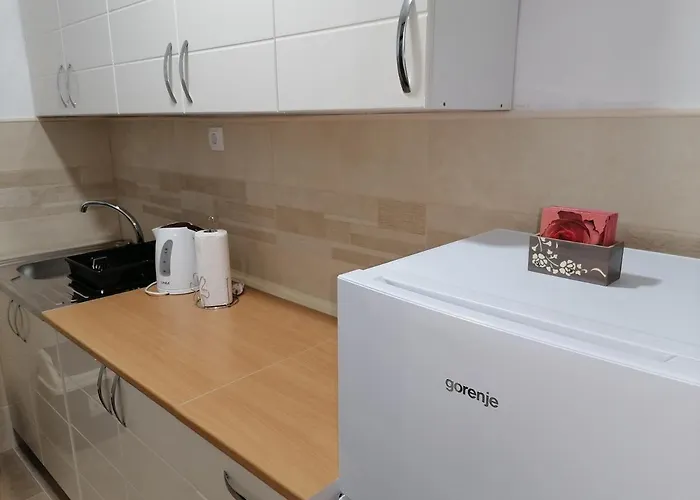 Appartement Radulovic *